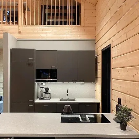 Black Work Levi Aarni Kittilä