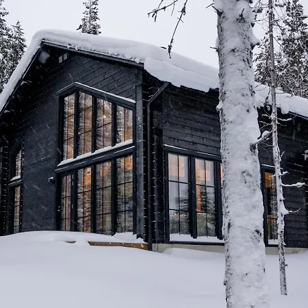 Chalet Black Work Levi Aarni *